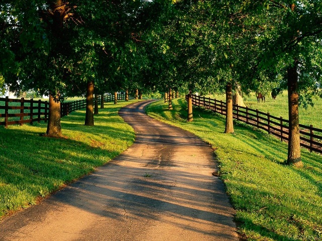 可靠的代充网站求的cc攻击免费网页版