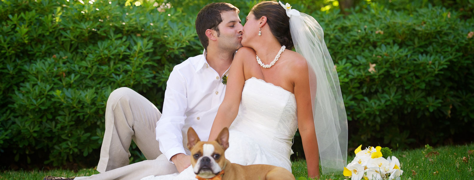 完全免费正版的DDOS在线攻击